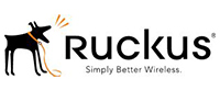 https://www.ruckuswireless.com/